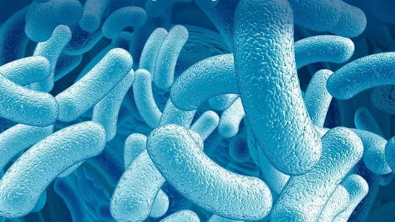 PROBIOTIC EURECAT CTNS