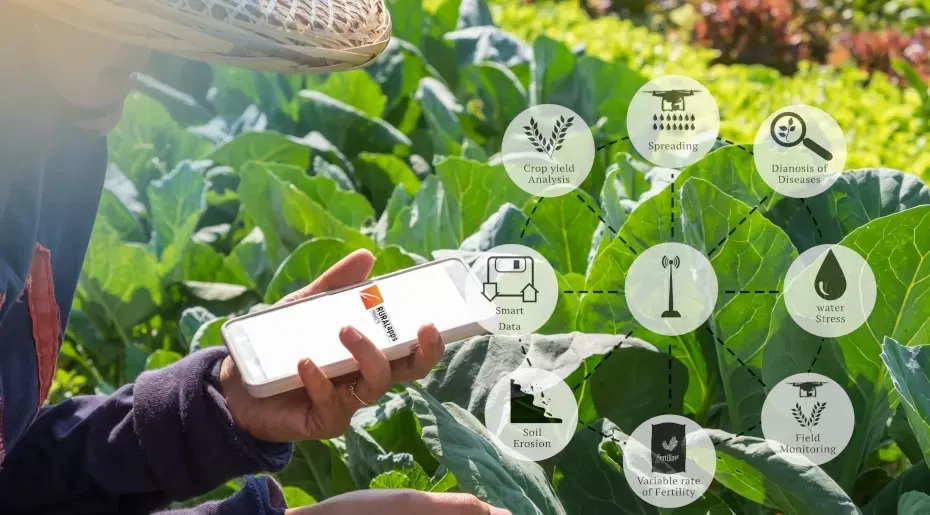 eurecat ruralapps