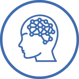 brain