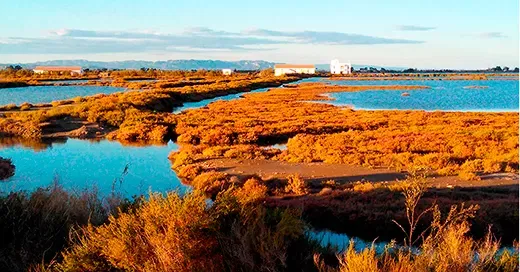 PECT EBRE BIOTERRITORI EURECAT