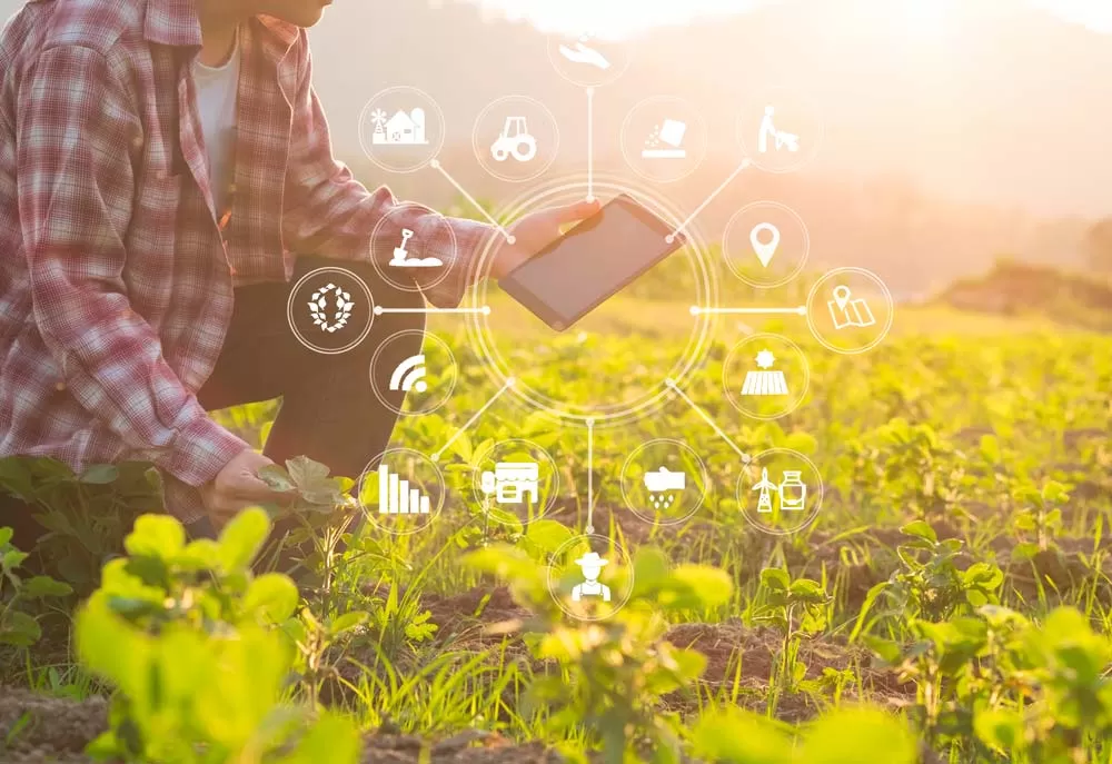 ruralapps eurecat