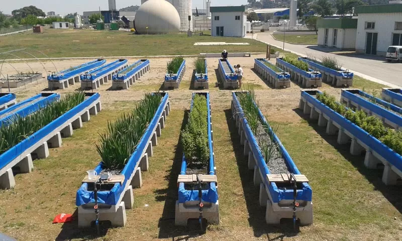 contaminació zero