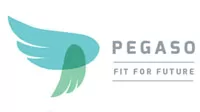 pegaso